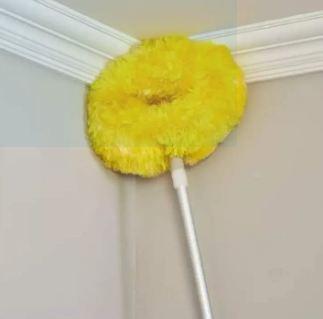 Fan Duster Ceiling