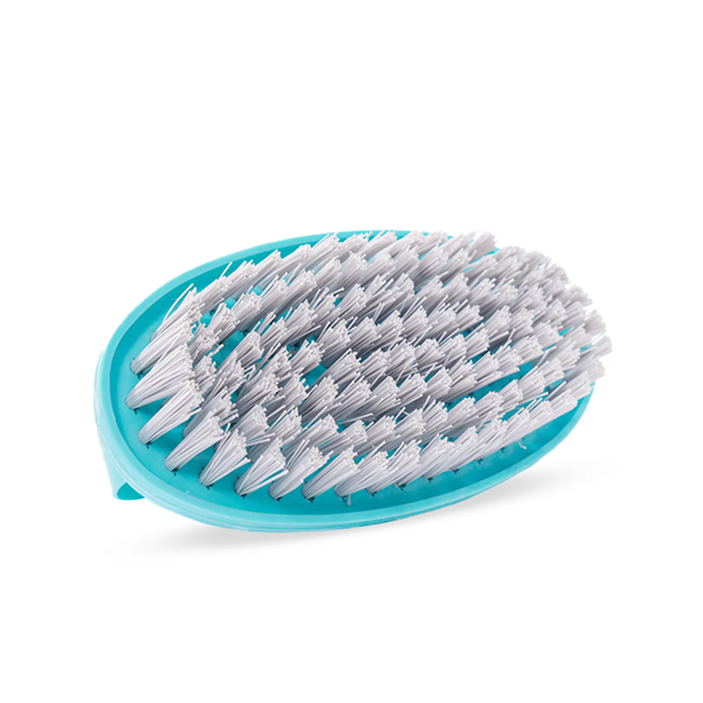 Handle Brush - Multi-Purpose