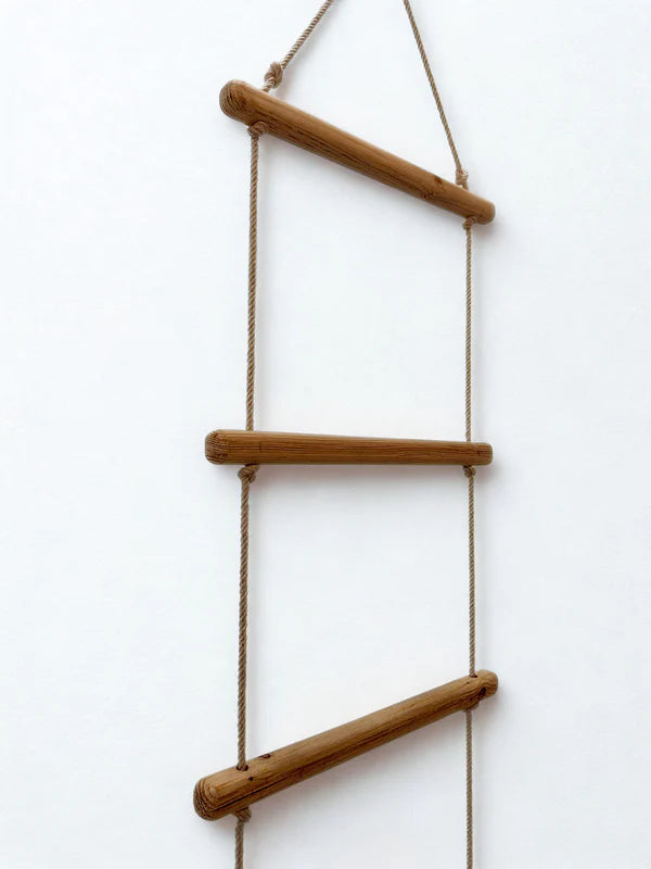 The Jungle Ladder