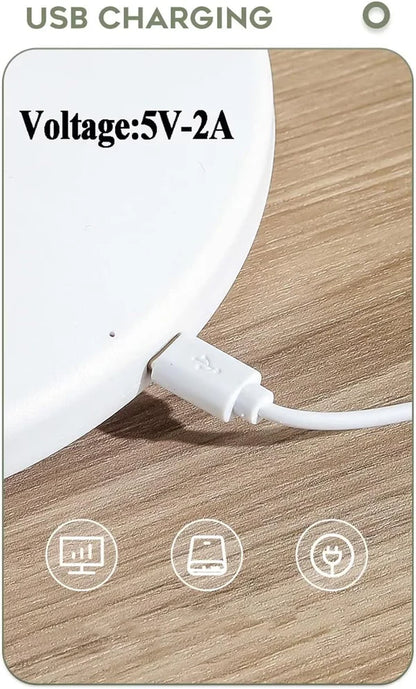Mini Rechargeable Rotating Fan