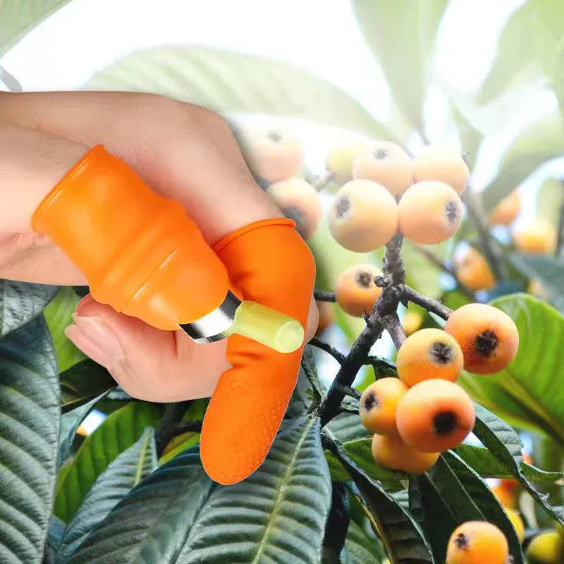 Nuts Gloves Finger Guard Home Kitchen Cutting Protection Tools