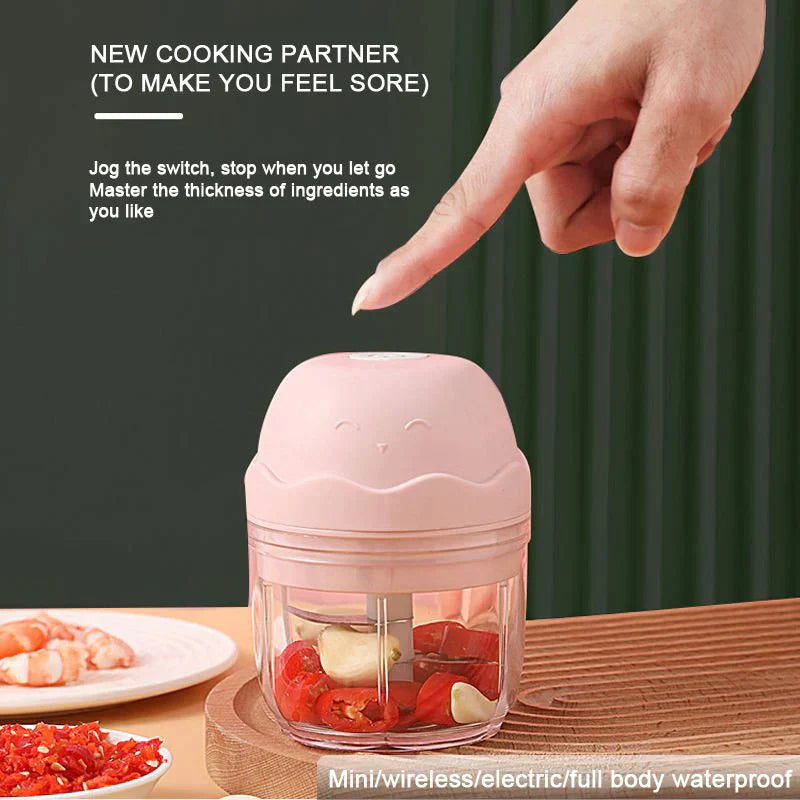 USB Chargable Mini Electric Garlic Masher