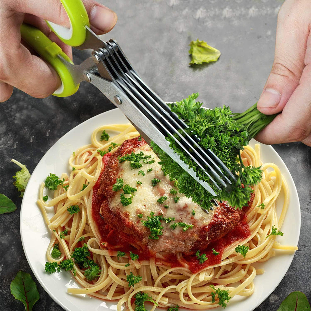 Food Scissor Stainless Steel With Cleaning Comb