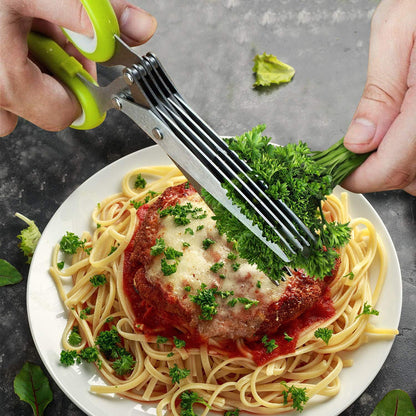 Food Scissor Stainless Steel With Cleaning Comb