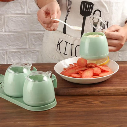 Unique Seasoning Spice Box Container | 3pcs Set